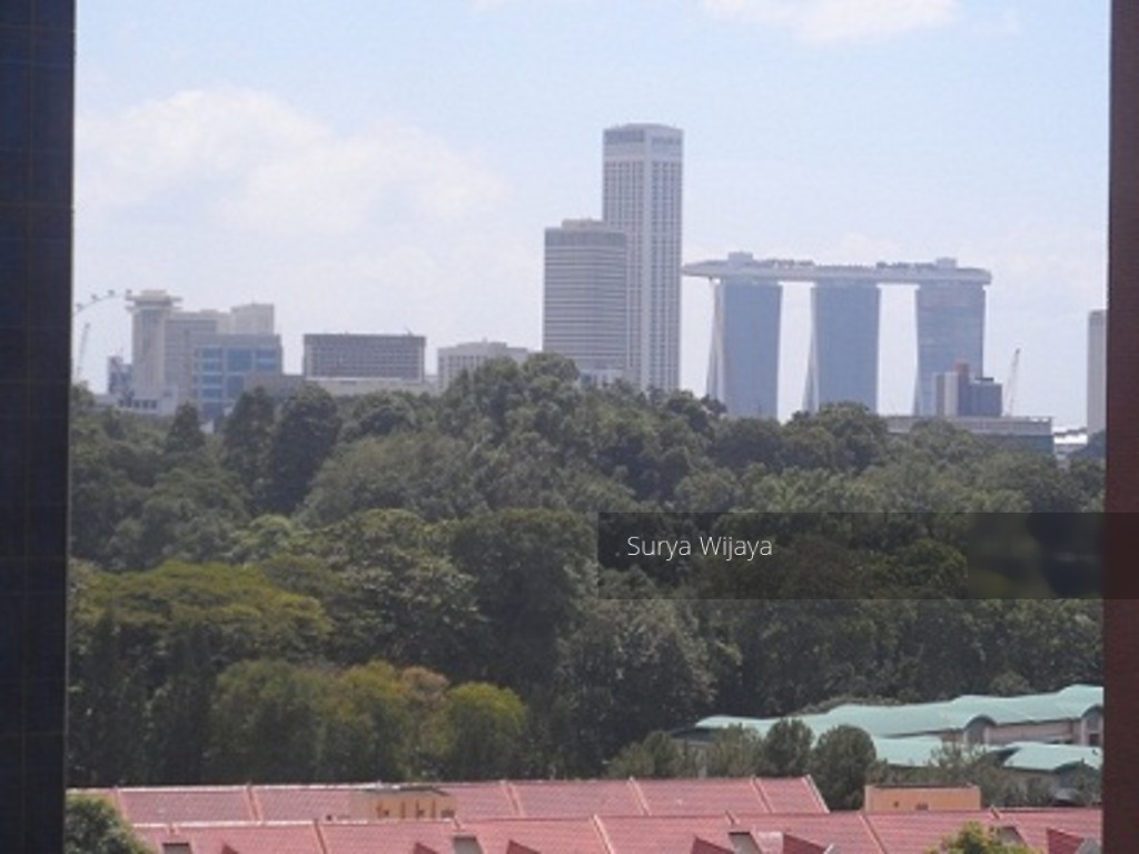 Cairnhill Residences (D9), Apartment #138806642